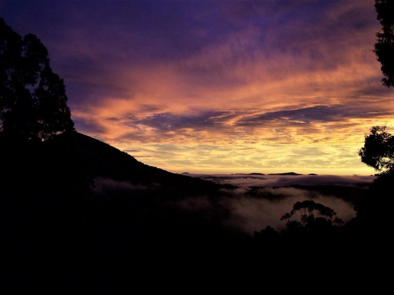 2252 Comboyne Road, Killabakh NSW 2429