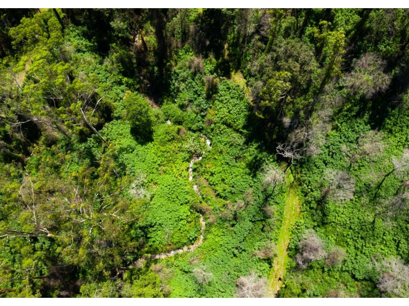 2252 Comboyne Road, Killabakh NSW 2429