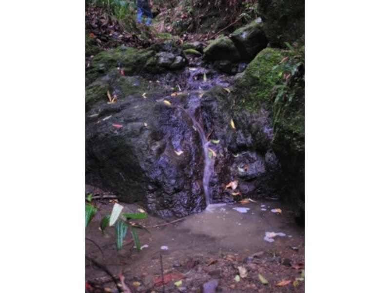 2252 Comboyne Road, Killabakh NSW 2429