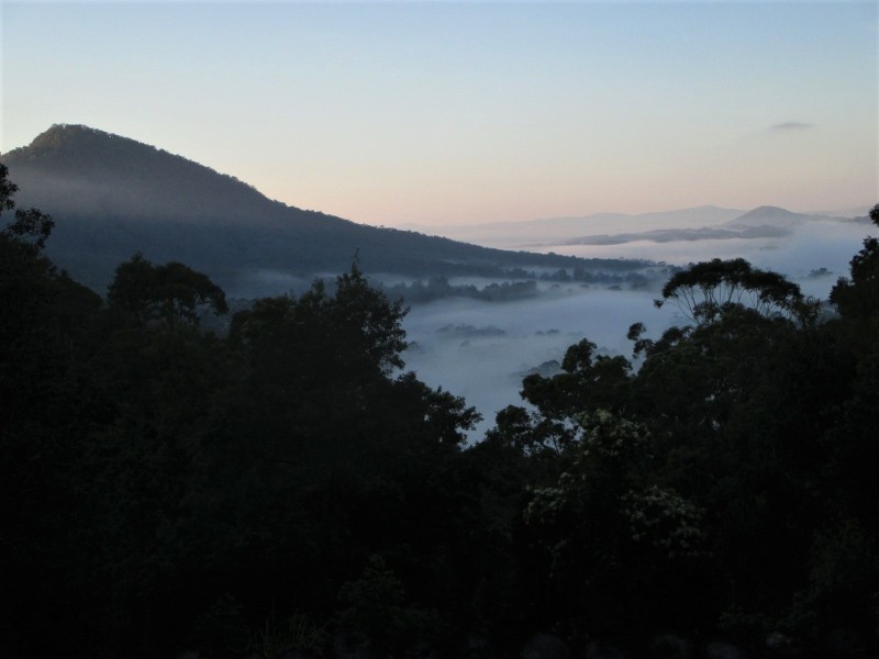 2252 Comboyne Road, Killabakh NSW 2429