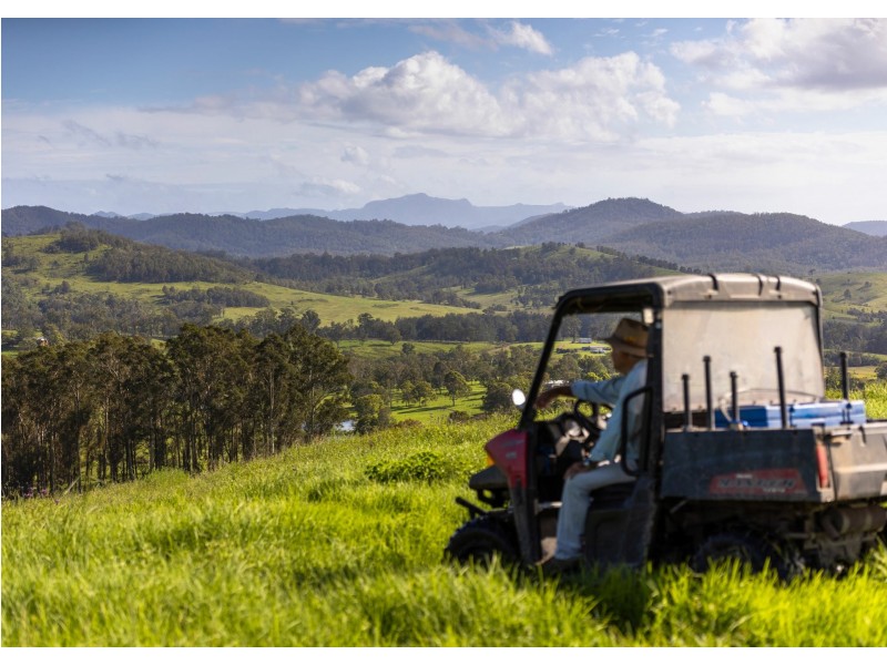 912 Blackflat Lane, Wherrol Flat NSW 2429