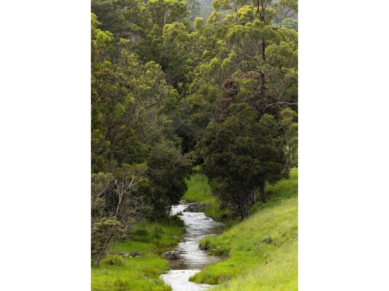 912 Blackflat Lane, Wherrol Flat NSW 2429