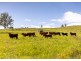 912 Blackflat Lane, Wherrol Flat NSW 2429