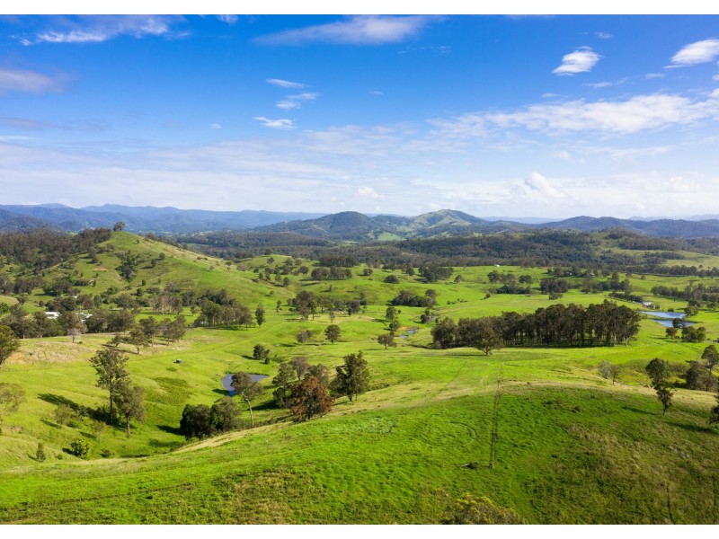 912 Blackflat Lane, Wherrol Flat NSW 2429