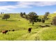 912 Blackflat Lane, Wherrol Flat NSW 2429