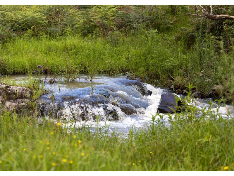 912 Blackflat Lane, Wherrol Flat NSW 2429