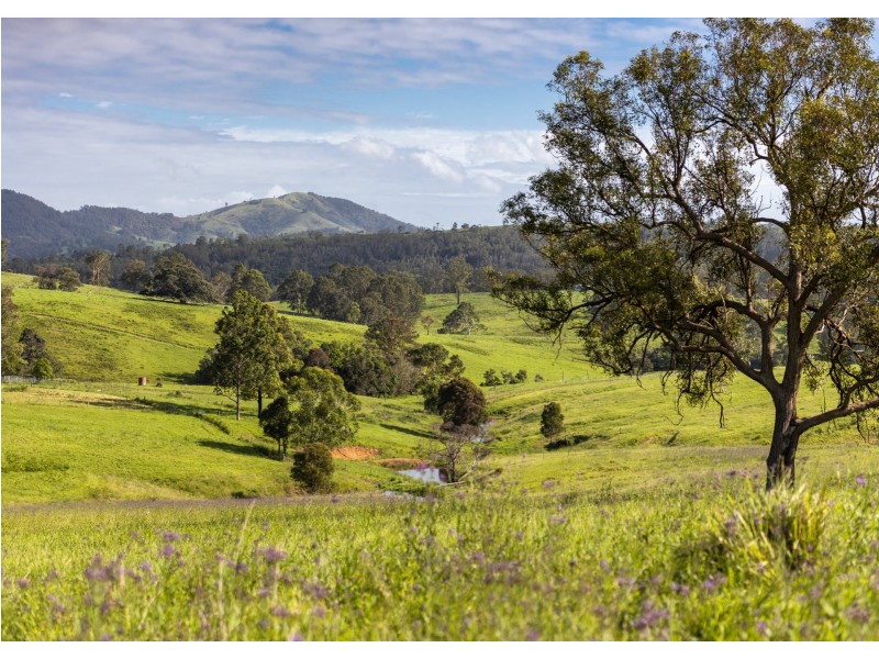 912 Blackflat Lane, Wherrol Flat NSW 2429