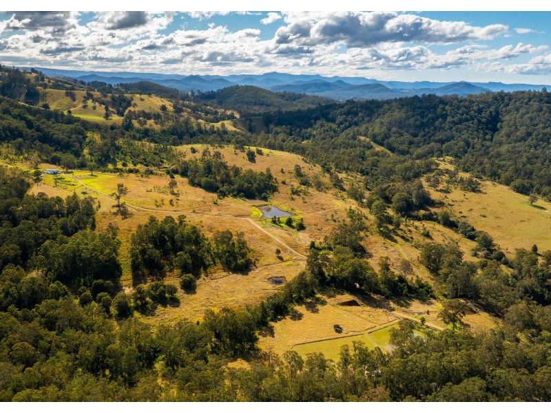 396 Nowendoc Road, Killawarra NSW 2429