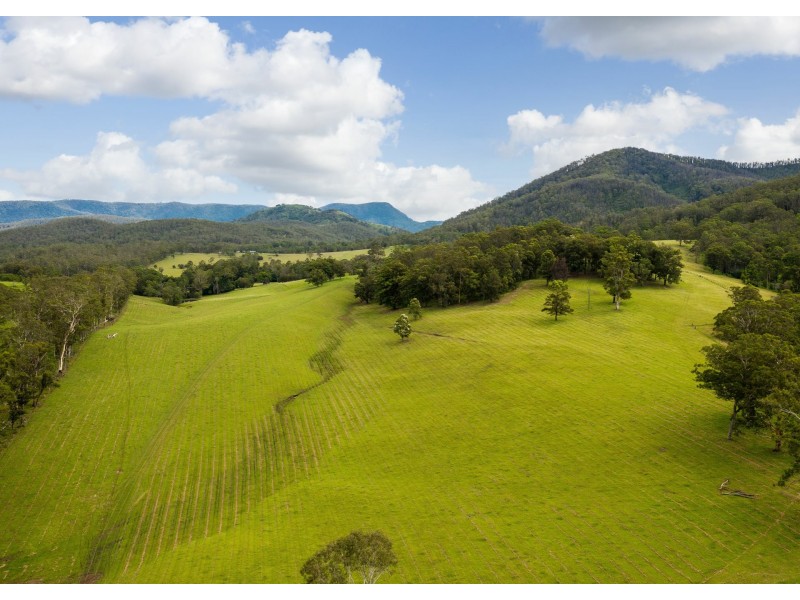 577 Black Flat Lane, Wherrol Flat NSW 2429