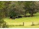577 Black Flat Lane, Wherrol Flat NSW 2429