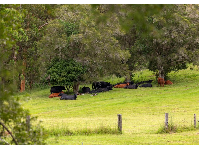 577 Black Flat Lane, Wherrol Flat NSW 2429