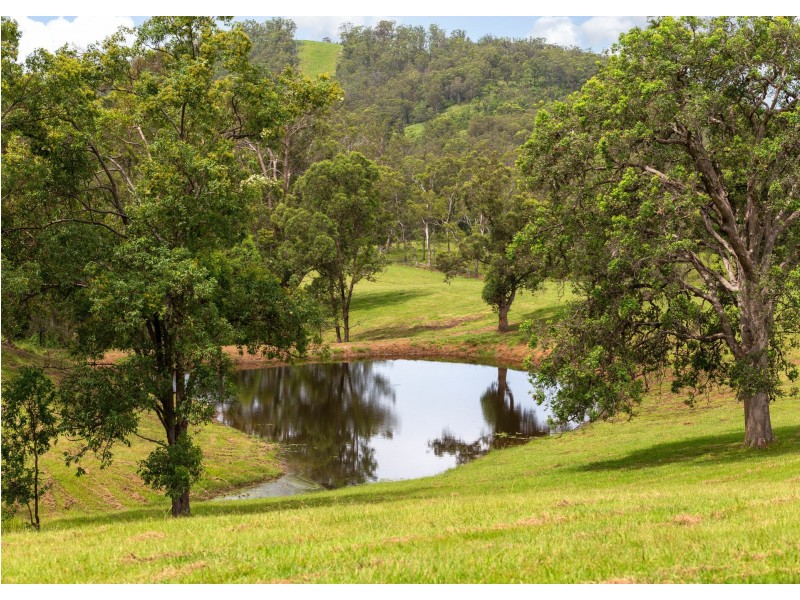 577 Black Flat Lane, Wherrol Flat NSW 2429