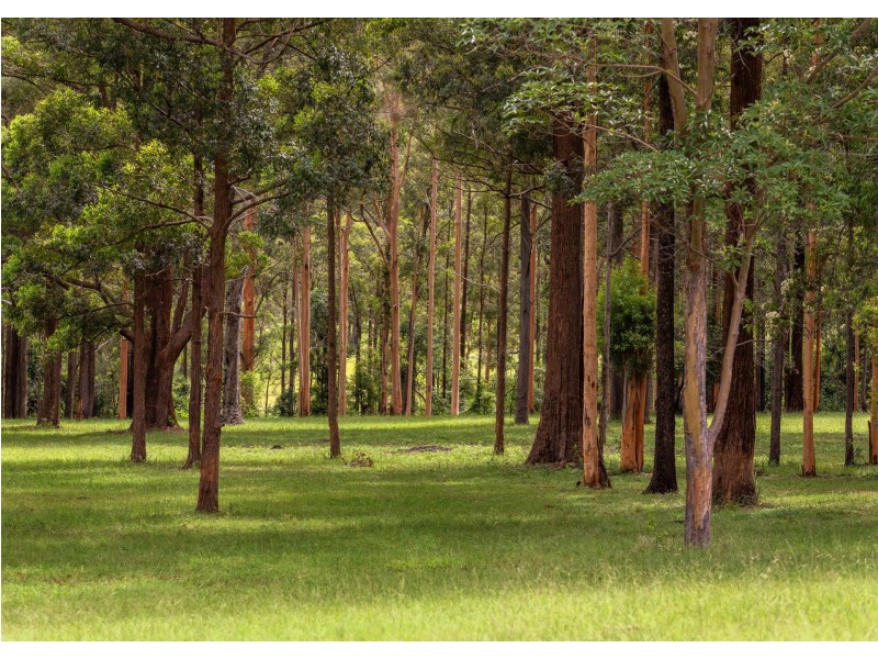 577 Black Flat Lane, Wherrol Flat NSW 2429