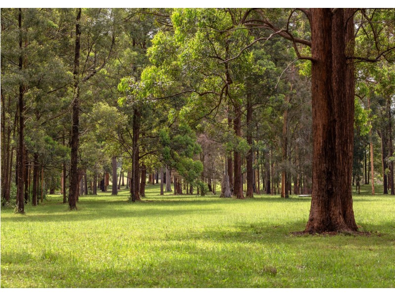 577 Black Flat Lane, Wherrol Flat NSW 2429