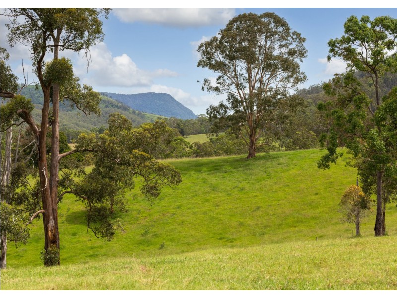 577 Black Flat Lane, Wherrol Flat NSW 2429
