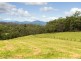 577 Black Flat Lane, Wherrol Flat NSW 2429