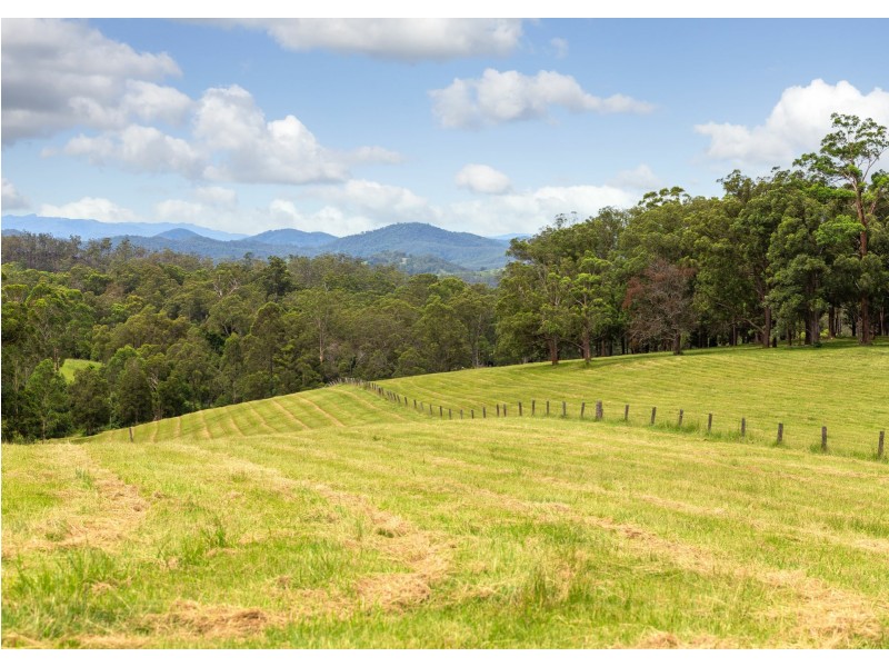 577 Black Flat Lane, Wherrol Flat NSW 2429