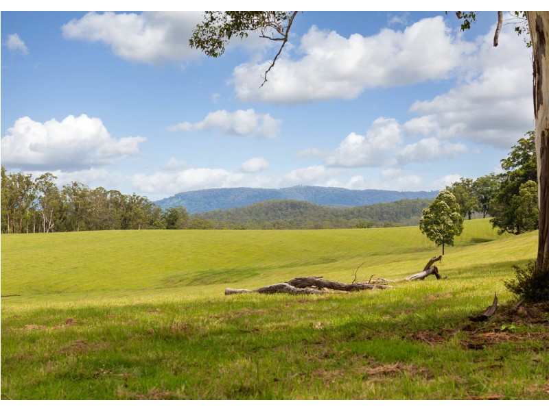 577 Black Flat Lane, Wherrol Flat NSW 2429