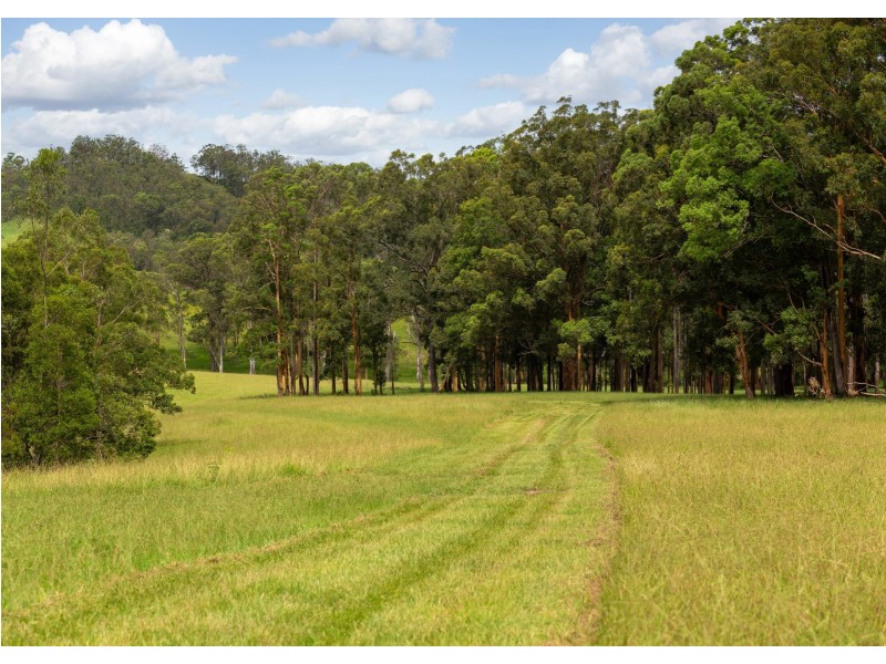 577 Black Flat Lane, Wherrol Flat NSW 2429