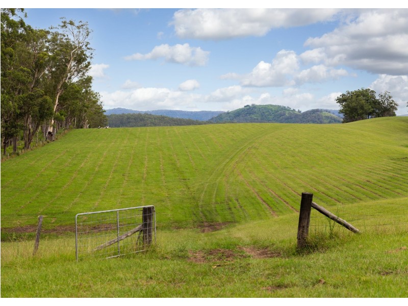 577 Black Flat Lane, Wherrol Flat NSW 2429