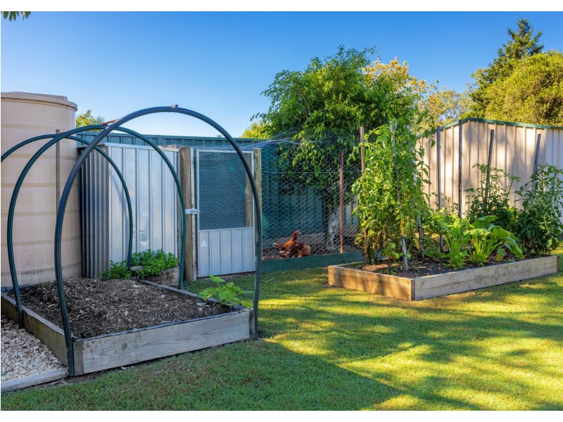 87 Richardson Street, Wingham NSW 2429