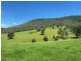 Caffreys Flat NSW 2424