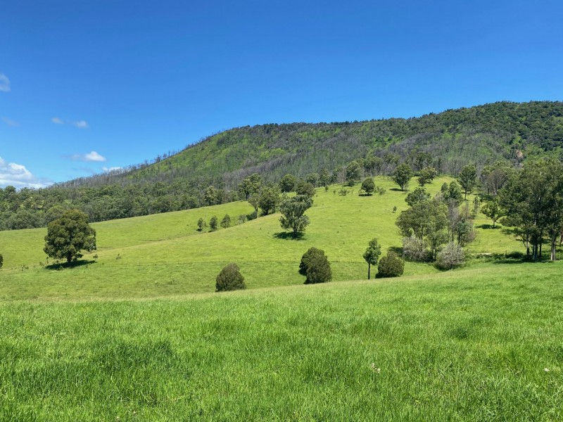 Caffreys Flat NSW 2424