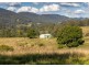 Caffreys Flat NSW 2424