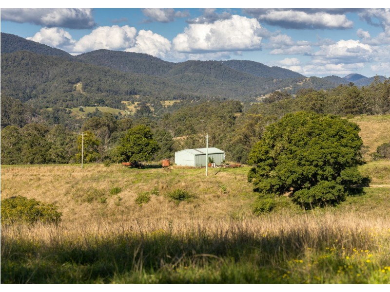 Caffreys Flat NSW 2424