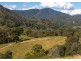 Caffreys Flat NSW 2424