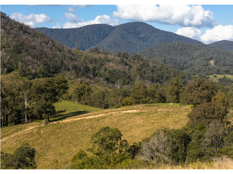 Caffreys Flat NSW 2424