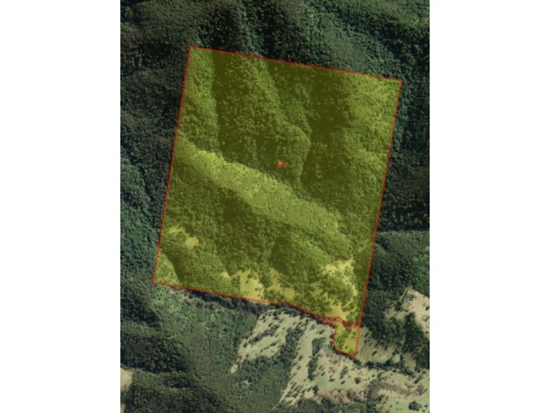 Caffreys Flat NSW 2424