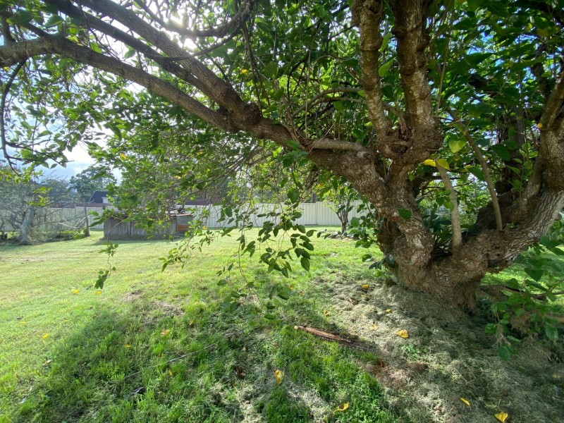 18 Summerville Street, Wingham NSW 2429