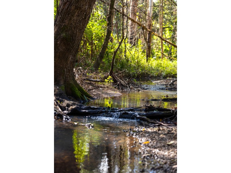 136 Miss Careys Road, Killabakh NSW 2429