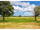 133 Newtons Road, Dumaresq Island NSW 2430