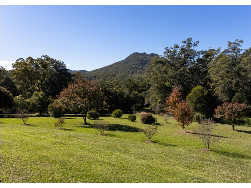 1817 Comboyne Road, Killabakh NSW 2429