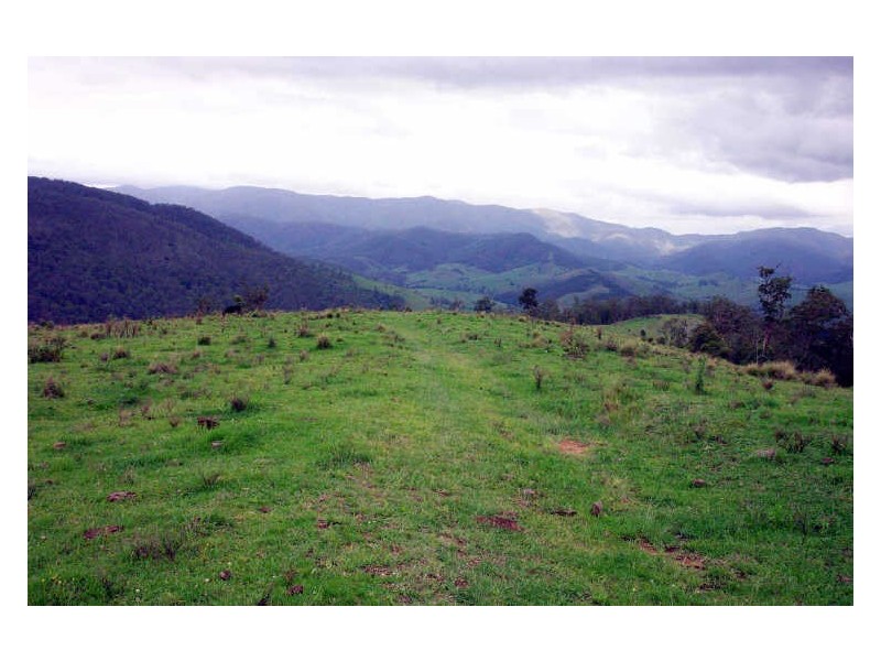 Cooplacurripa NSW 2424