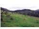 Cooplacurripa NSW 2424