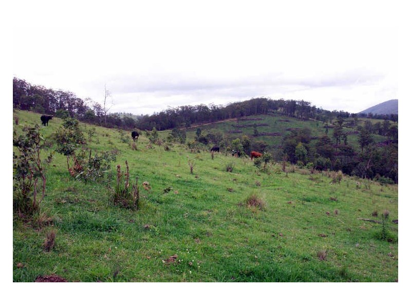 Cooplacurripa NSW 2424