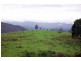 Cooplacurripa NSW 2424