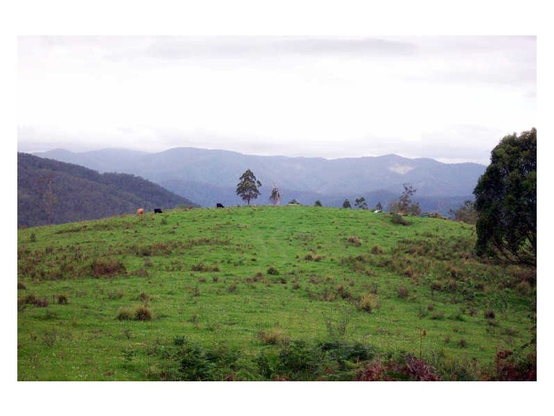 Cooplacurripa NSW 2424