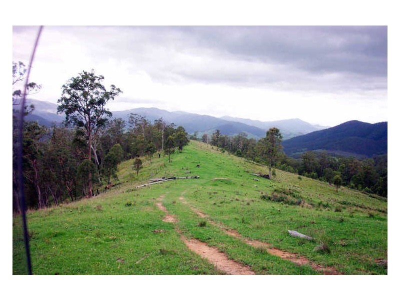 Cooplacurripa NSW 2424