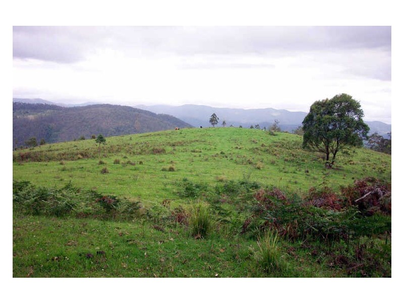 Cooplacurripa NSW 2424