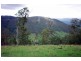 Cooplacurripa NSW 2424