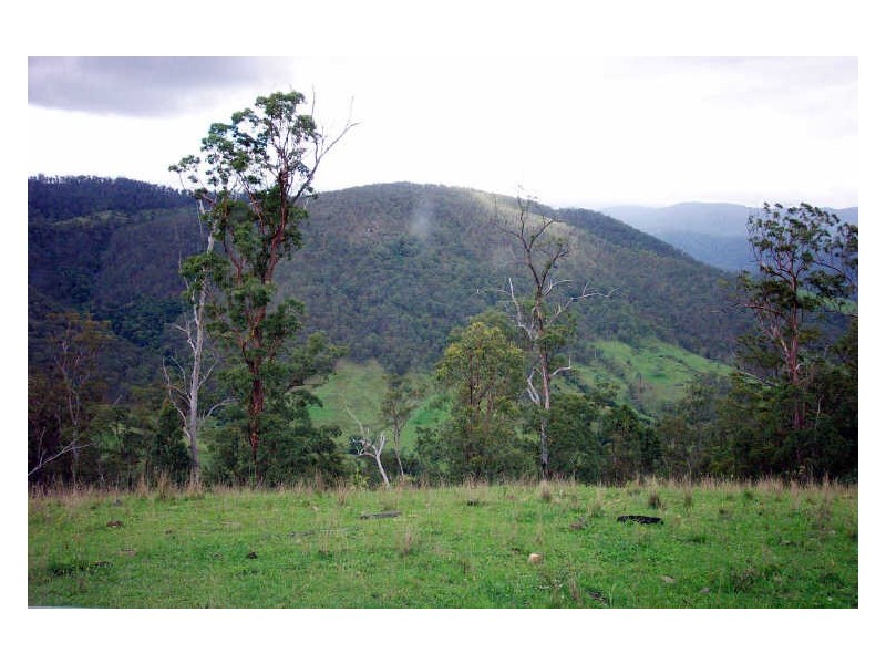 Cooplacurripa NSW 2424