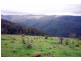 Cooplacurripa NSW 2424