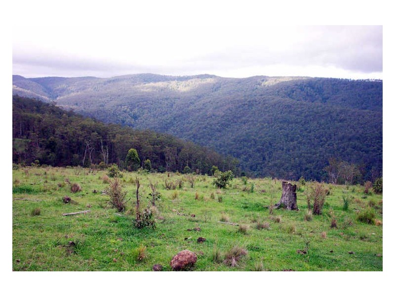 Cooplacurripa NSW 2424