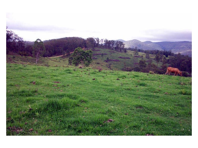 Cooplacurripa NSW 2424