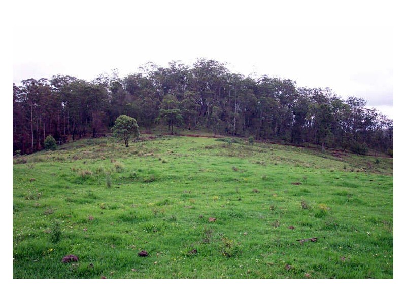 Cooplacurripa NSW 2424