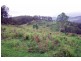 Cooplacurripa NSW 2424